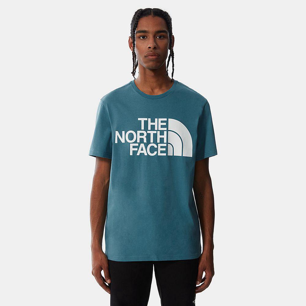 The North Face Standard Ανδρικα T Shirt - Μπλε (XPMF89541)